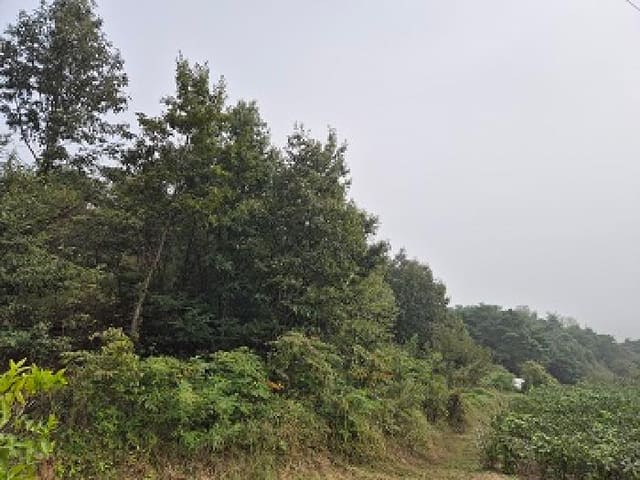 B000315202501300102972.jpg
