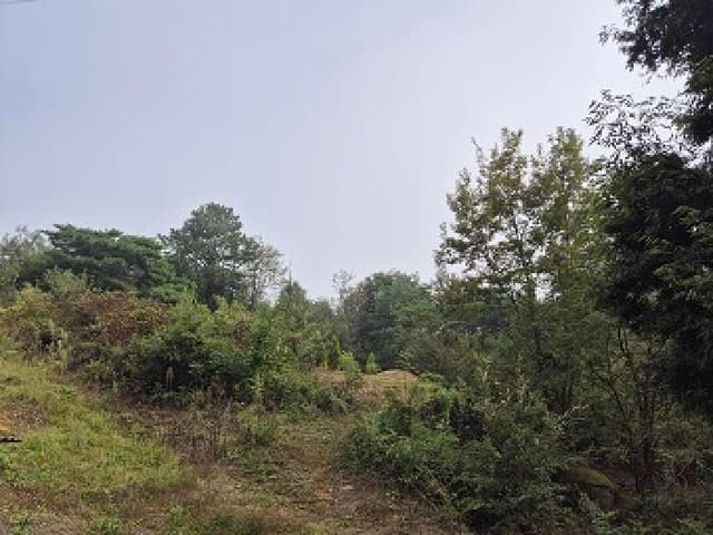B000315202501300102971.jpg