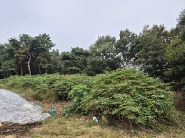 B000315202501300102974.jpg