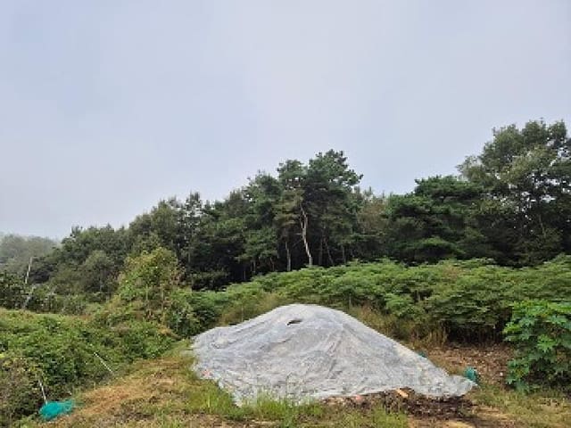 B000315202501300102973.jpg