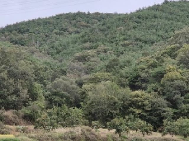 B000315202501300103071.jpg