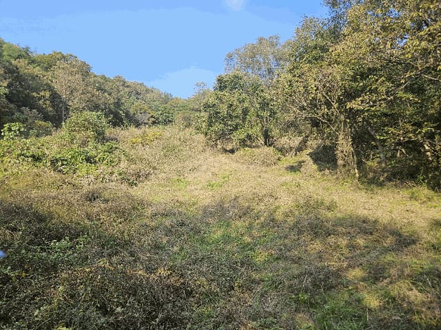 B000315202501300103074.jpg