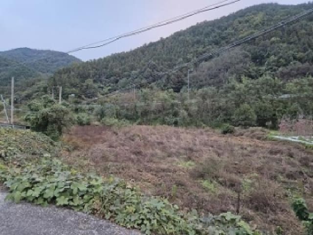 B000315202501300103151.jpg