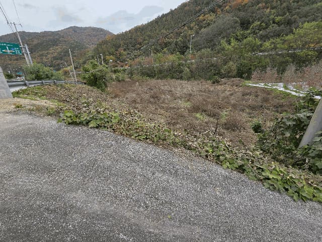 B000315202501300103154.jpg