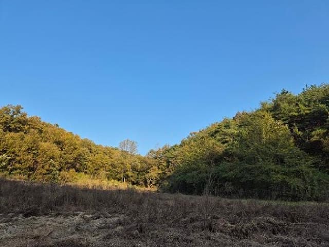 B000315202501300103191.jpg