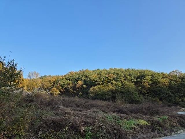 B000315202501300103192.jpg