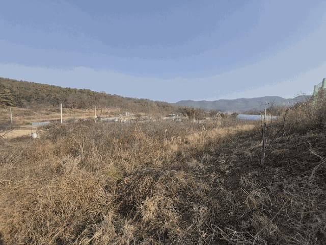 B0003152025013001033512.jpg