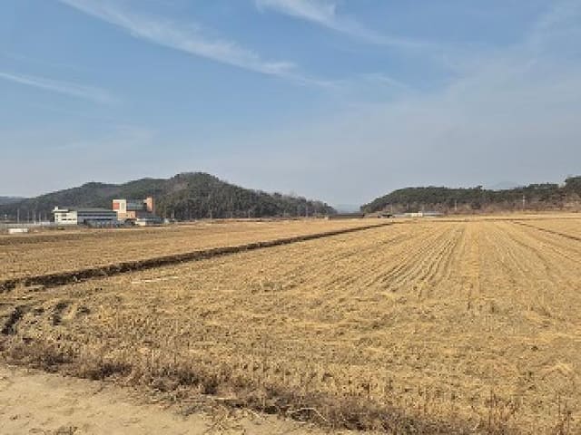 B000315202501300103551.jpg