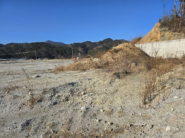 B000316202401300012774.jpg