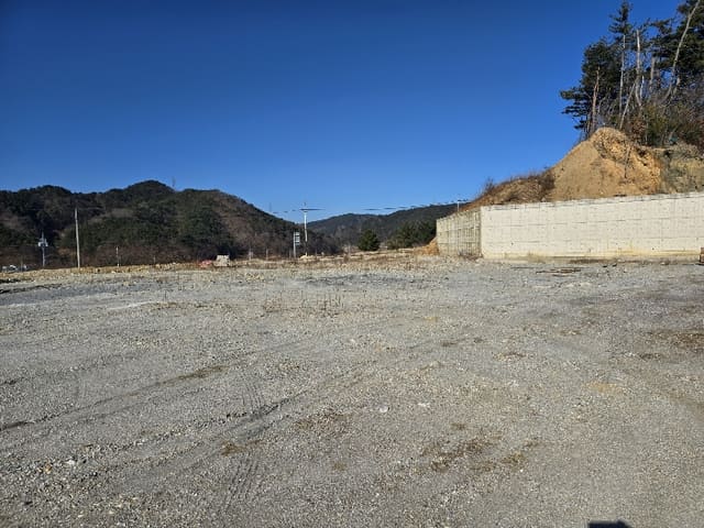 B000316202401300012772.jpg