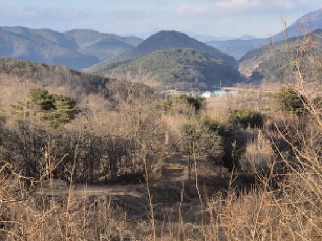 B000316202401300120931.jpg