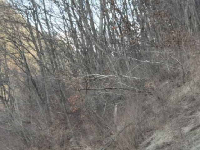 B000316202401300120933.jpg