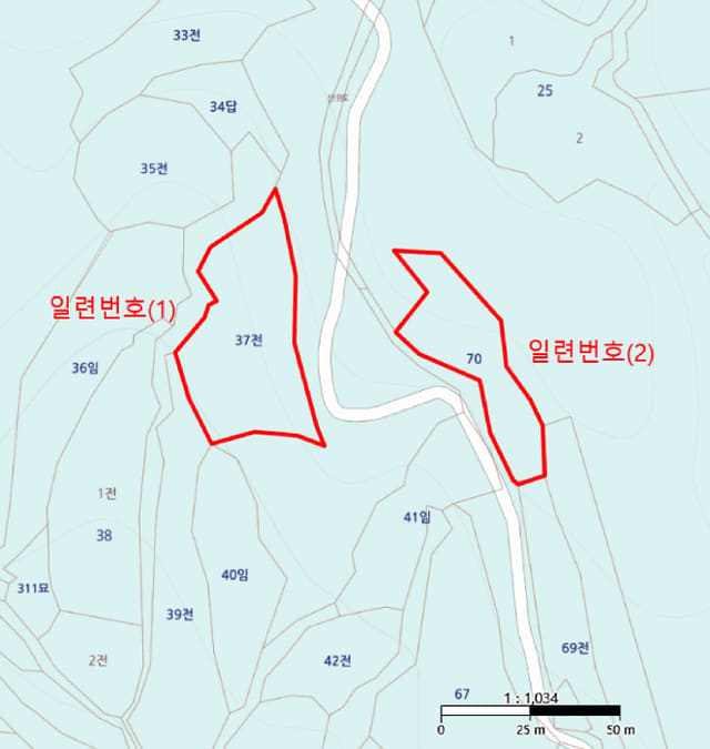 B000316202501300003872.jpg
