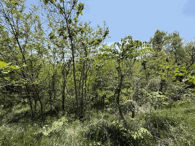 B000316202501300004171.jpg