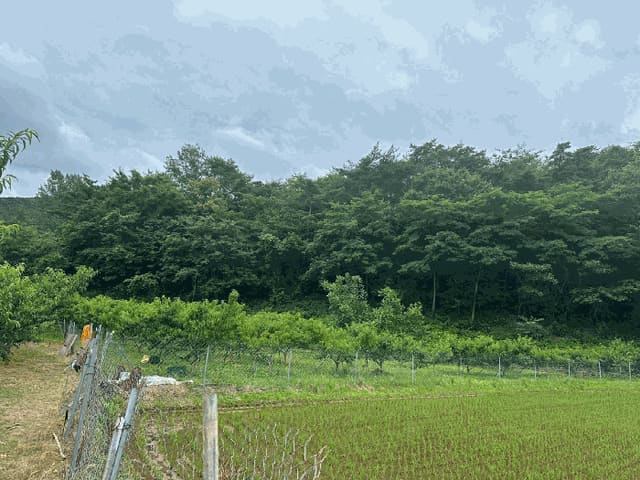 B000316202501300005924.jpg