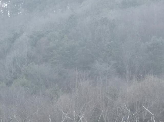 B000316202501300101553.jpg
