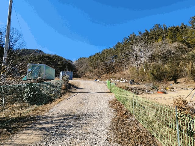 B000316202501300101651.jpg