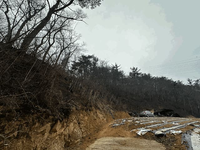 B000316202501300101854.jpg