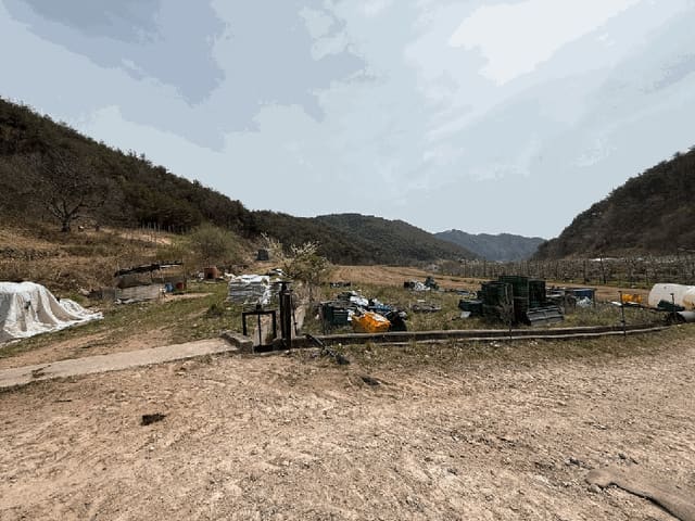 B000316202501300102073.jpg