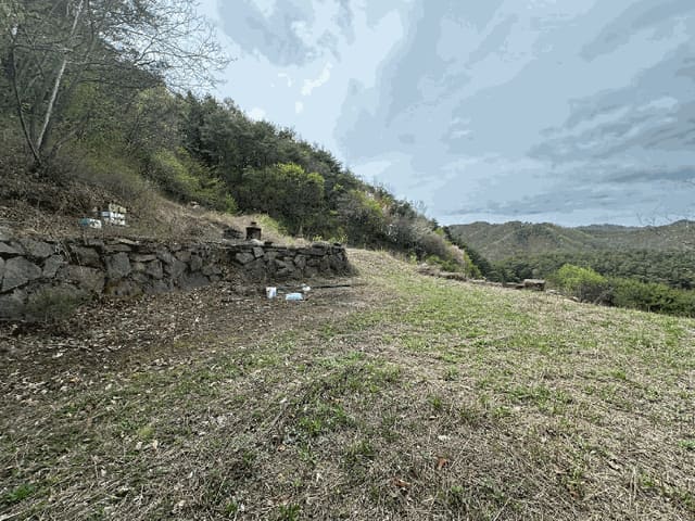 B000316202501300102093.jpg