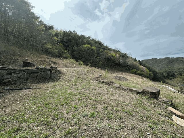 B000316202501300102094.jpg