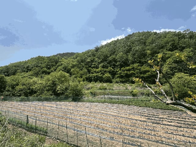 B000316202501300102131.jpg