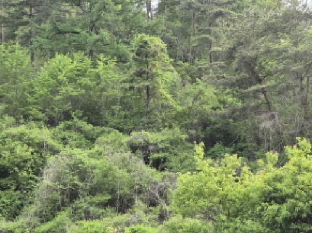 B000316202501300102281.jpg