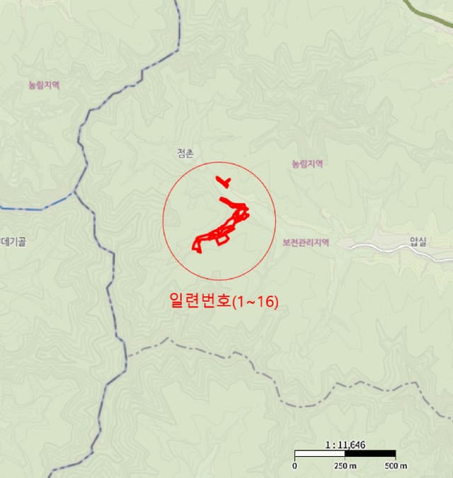 B000316202501300102284.jpg