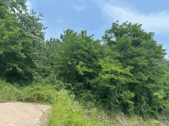 B000316202501300102464.jpg