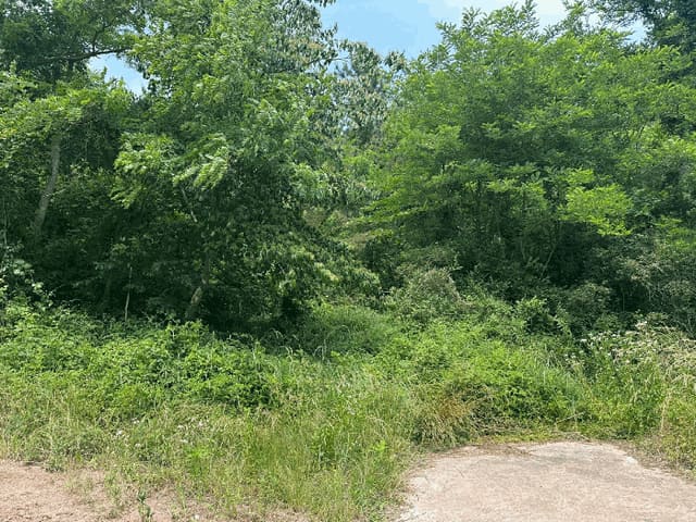 B000316202501300102463.jpg