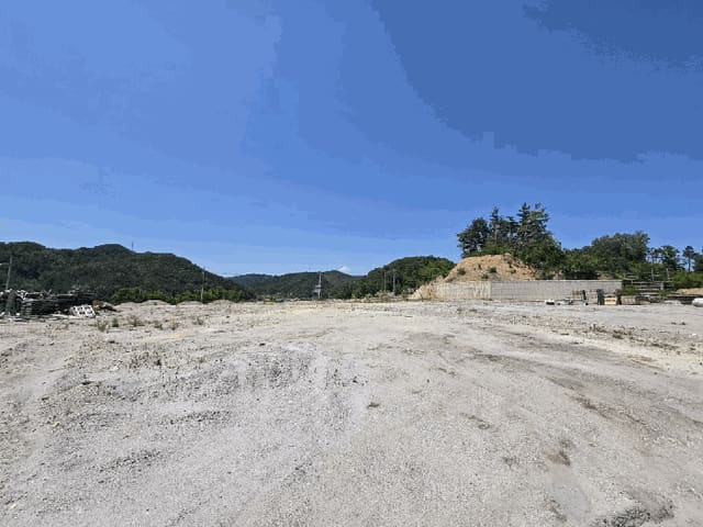 B000316202501300102504.jpg