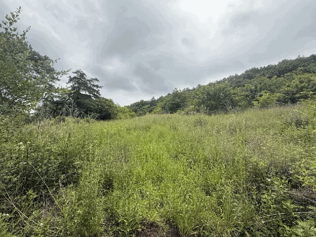 B000316202501300102512.jpg