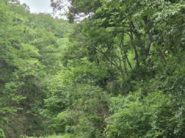 B000316202501300102531.jpg