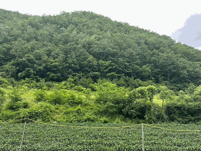 B000316202501300102564.jpg