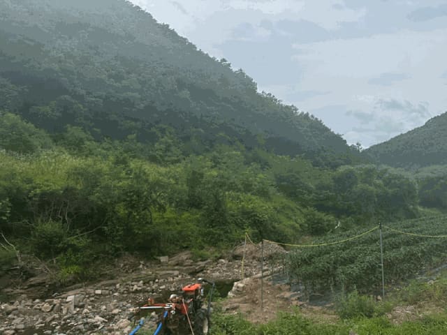B000316202501300102563.jpg