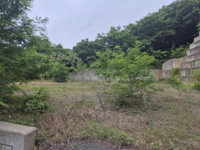 B000316202501300102624.jpg