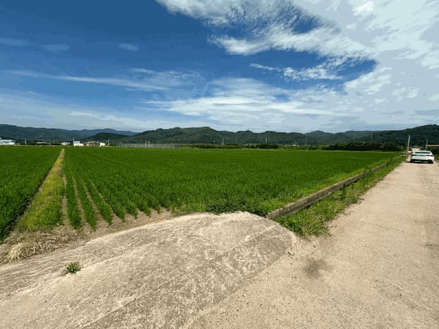 B000316202501300102653.jpg