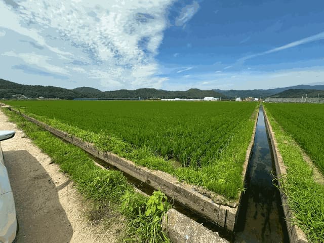 B000316202501300102654.jpg