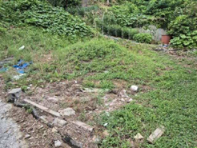 B000316202501300102711.jpg