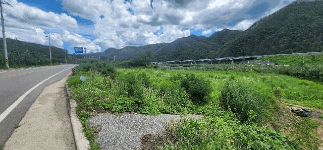 B000316202501300102724.jpg