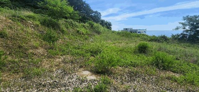 B000316202501300102769.jpg