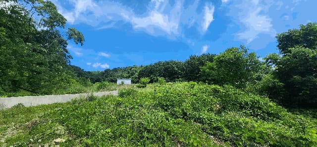 B0003162025013001027610.jpg