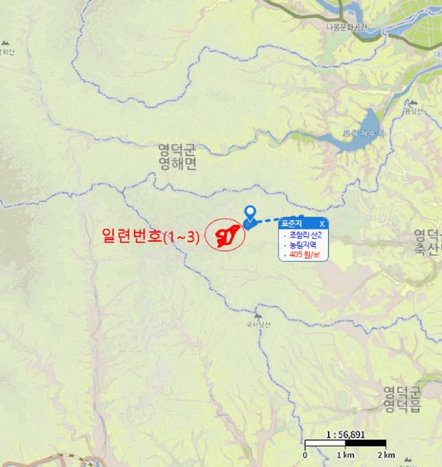 B000316202501300102864.jpg