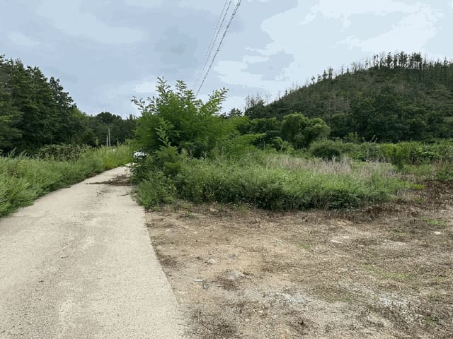 B000316202501300103064.jpg