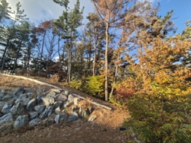 B000317202401300354644.jpg