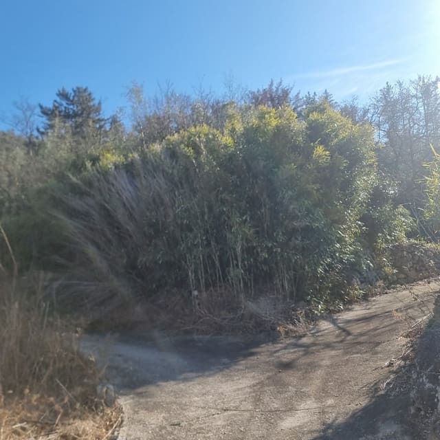 B000317202401300374392.jpg