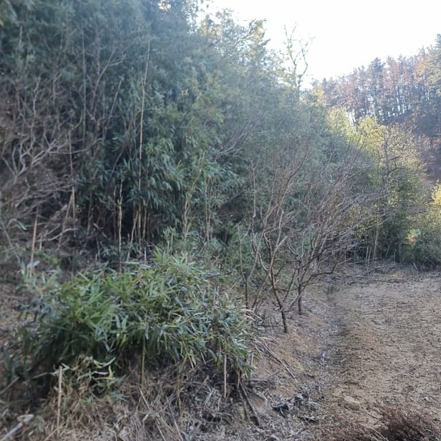 B000317202401300374394.jpg