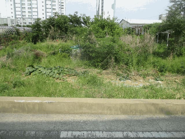 B000317202501300002524.jpg