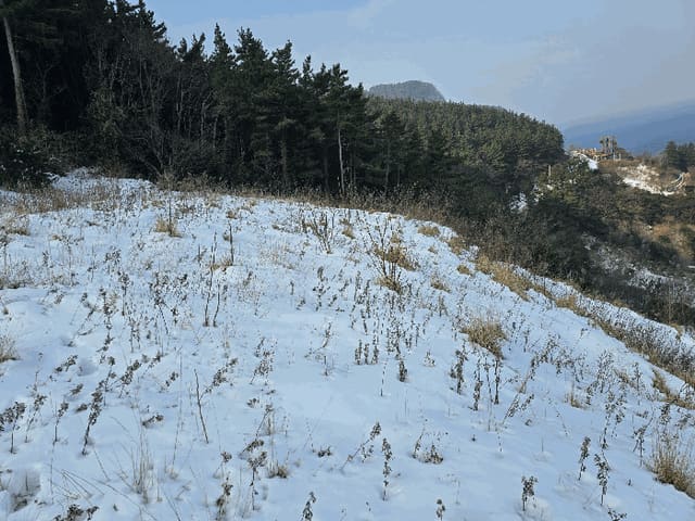 B0003172025013000027011.jpg