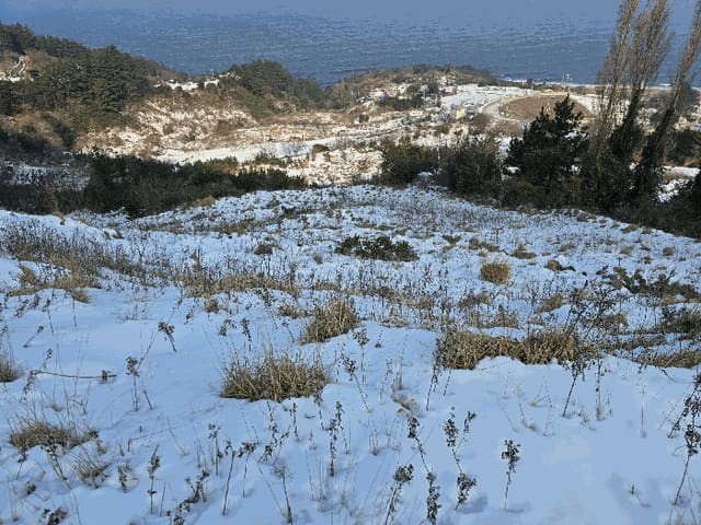 B0003172025013000027013.jpg